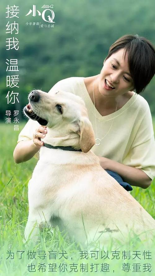 汉德森州立大学文凭毕业证哪里可以做假的